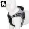 Harnais pour chien Truelove City + - TLH5753