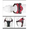 Harnais pour chien Truelove City + - TLH5753