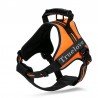 Harnais pour chien Truelove City + - TLH5753