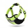 Harnais pour chien Truelove Training - TLH5991