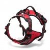 Harnais pour chien Truelove Country - TLH5651