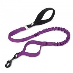 Laisse pour chien Truelove Flow - TLL2281