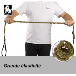 Laisse pour chien Truelove Flow - TLL2281