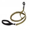 Laisse pour chien Truelove Flow - TLL2281