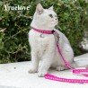 Harnais pour chien et laisse pour chat Truelove Mousse - TLH3911