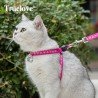 Harnais pour chien et laisse pour chat Truelove Mousse - TLH3911