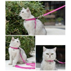 Harnais pour chien et laisse pour chat Truelove Mousse - TLH3911