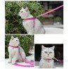 Harnais pour chien et laisse pour chat Truelove Mousse - TLH3911