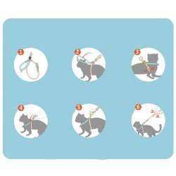 Harnais pour chien et laisse pour chat Truelove Mousse - TLH3911