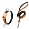 Collier pour chien et laisse pour chat Truelove CUTE - TLC5311