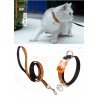 Collier pour chien et laisse pour chat Truelove CUTE - TLC5311
