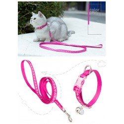 Collier pour chien et laisse pour chat Truelove CUTE - TLC5311