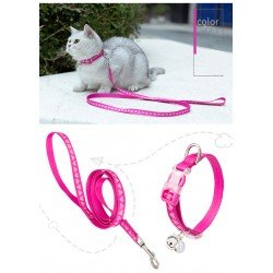 Collier et laisse pour chat Truelove CUTE