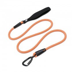 Laisse pour chien Truelove Running - TLL2571