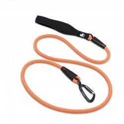 Laisse pour chien Truelove Running - TLL2571
