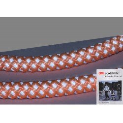 Laisse pour chien Truelove Running - TLL2571