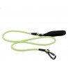 Laisse pour chien Truelove Running - TLL2571
