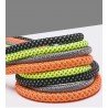 Laisse pour chien Truelove Running - TLL2571