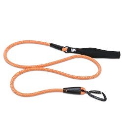 Laisse pour chien Truelove Running - TLL2571