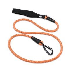 Laisse pour chien Truelove Running - TLL2571