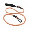 Laisse pour chien Truelove Running - TLL2571