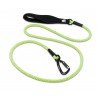 Laisse pour chien Truelove Running - TLL2571