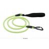 Laisse pour chien Truelove Running - TLL2571