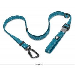 Laisse pour chien Truelove Climb - TLL2671