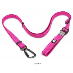 Laisse Truelove Climb
