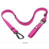 Laisse Truelove Climb