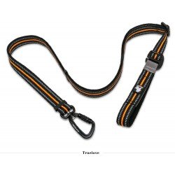 Laisse pour chien Truelove Climb - TLL2671