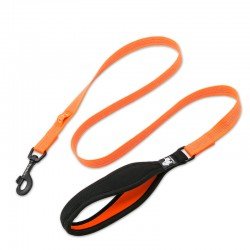 Laisse pour chien Truelove Pull - TLL2771