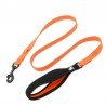 Laisse pour chien Truelove Pull - TLL2771