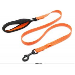 Laisse pour chien Truelove Pull - TLL2771