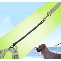 Laisse pour chien Truelove Extend - TLL2971