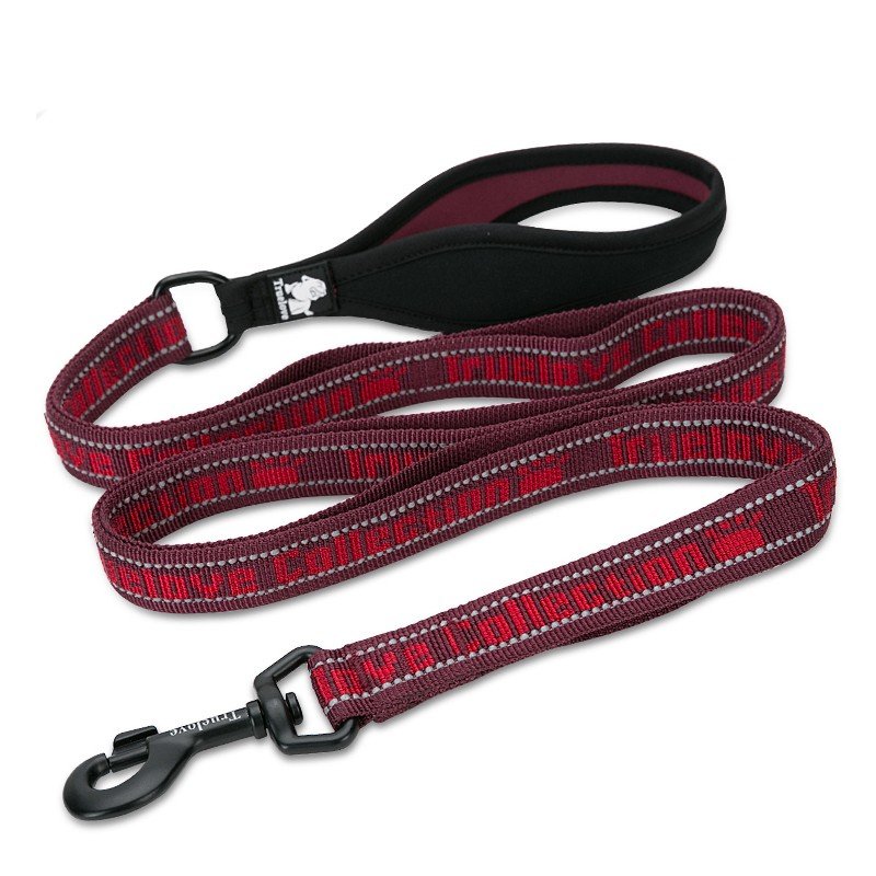 Laisse pour chien truelove Pull+ - TLL3071