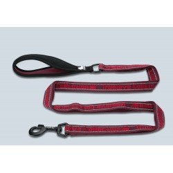 Laisse pour chien truelove Pull+ - TLL3071