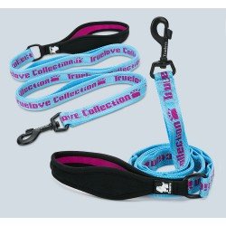 Laisse pour chien truelove Pull+ - TLL3071