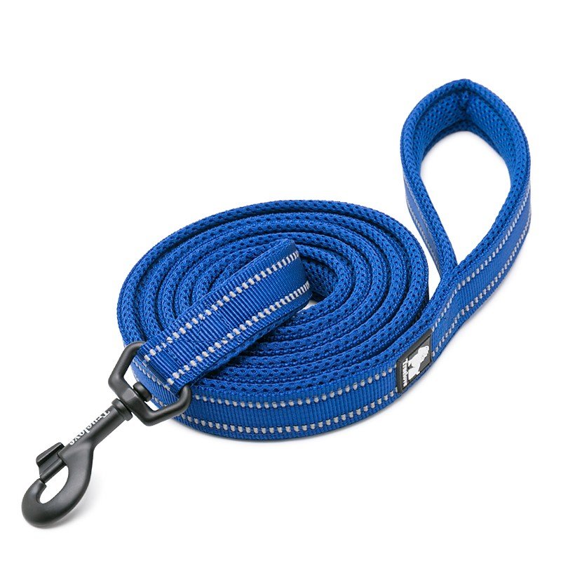 Laisse pour chien Truelove Walk - TLL2111
