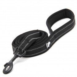 Laisse pour chien Truelove Walk - TLL2111