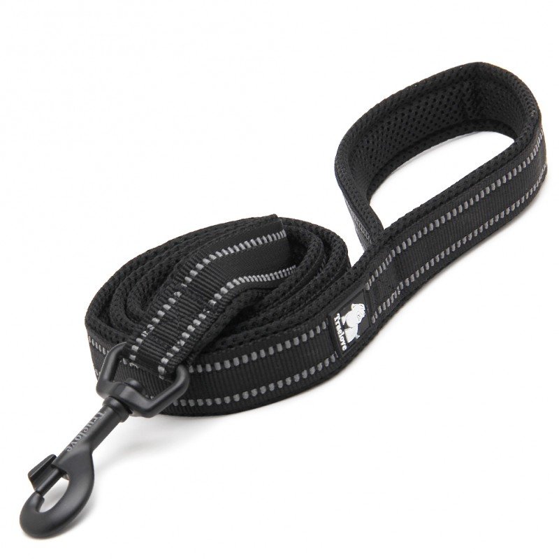 Laisse pour chien Truelove Walk - TLL2111