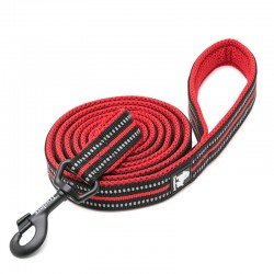 Laisse pour chien Truelove Walk - TLL2111