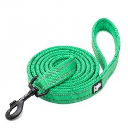 Laisse pour chien Truelove Walk - TLL2111