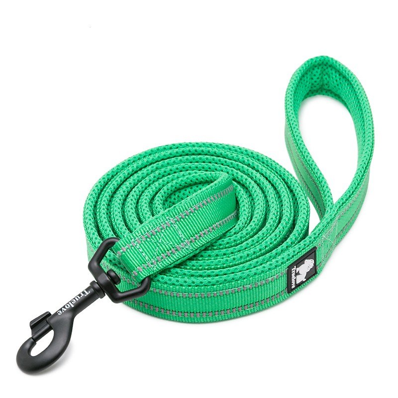 Laisse pour chien Truelove Walk - TLL2111