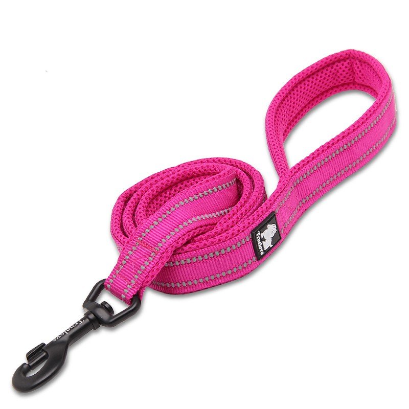 Laisse pour chien Truelove Walk - TLL2111
