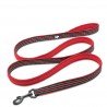 Laisse pour chien Truelove Walk - TLL2111