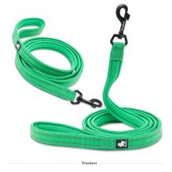 Laisse pour chien Truelove Walk - TLL2111