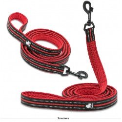 Laisse pour chien Truelove Walk - TLL2111