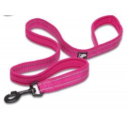 Laisse pour chien Truelove Walk - TLL2111