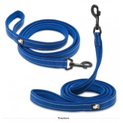 Laisse pour chien Truelove Walk - TLL2111